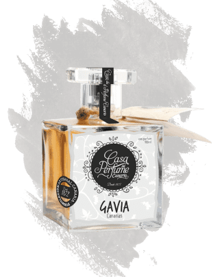 Gavia