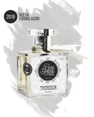 Thenesor F2019